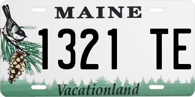 ME license plate 1321TE