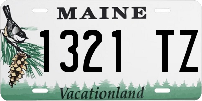 ME license plate 1321TZ
