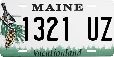 ME license plate 1321UZ