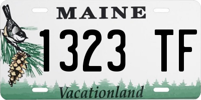 ME license plate 1323TF