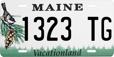 ME license plate 1323TG