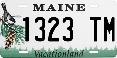 ME license plate 1323TM