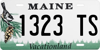 ME license plate 1323TS