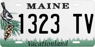 ME license plate 1323TV