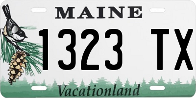 ME license plate 1323TX