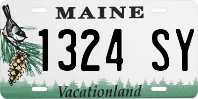 ME license plate 1324SY
