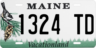 ME license plate 1324TD