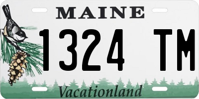 ME license plate 1324TM
