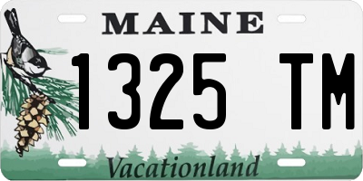 ME license plate 1325TM