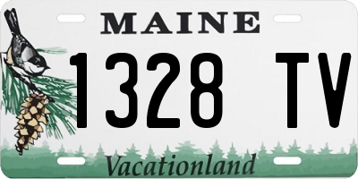 ME license plate 1328TV