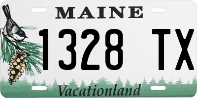 ME license plate 1328TX