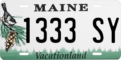 ME license plate 1333SY