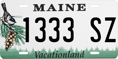 ME license plate 1333SZ