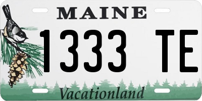 ME license plate 1333TE