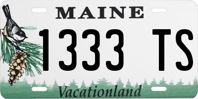 ME license plate 1333TS
