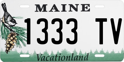 ME license plate 1333TV