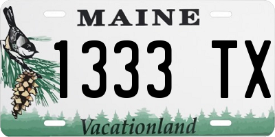 ME license plate 1333TX
