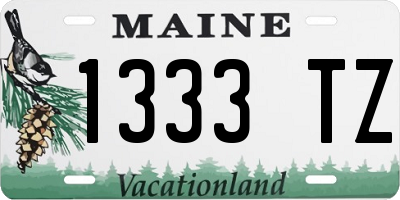 ME license plate 1333TZ