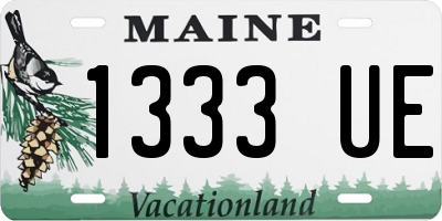 ME license plate 1333UE