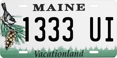 ME license plate 1333UI