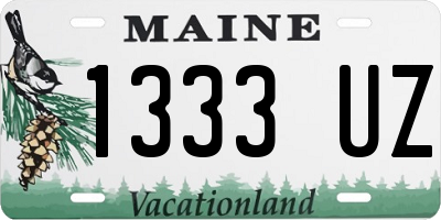ME license plate 1333UZ