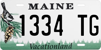 ME license plate 1334TG