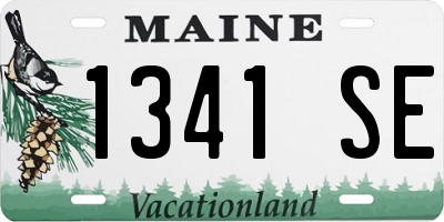 ME license plate 1341SE