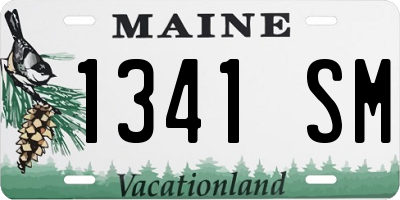 ME license plate 1341SM