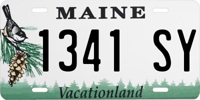 ME license plate 1341SY