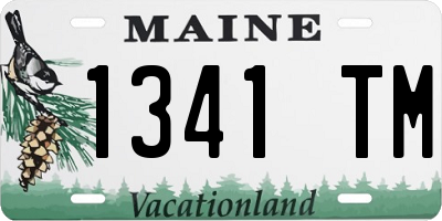 ME license plate 1341TM