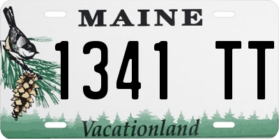 ME license plate 1341TT