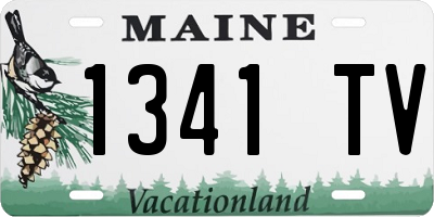 ME license plate 1341TV