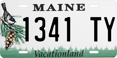 ME license plate 1341TY
