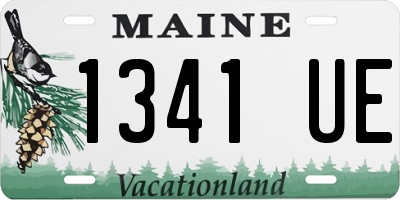 ME license plate 1341UE