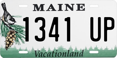 ME license plate 1341UP