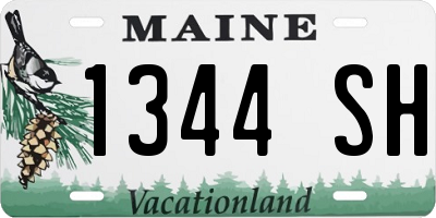 ME license plate 1344SH