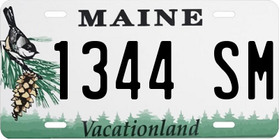 ME license plate 1344SM