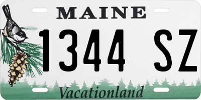 ME license plate 1344SZ