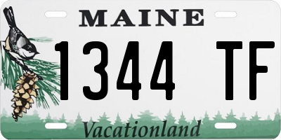 ME license plate 1344TF