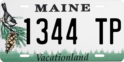 ME license plate 1344TP