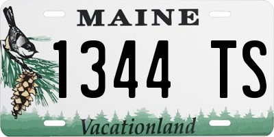ME license plate 1344TS