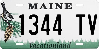 ME license plate 1344TV