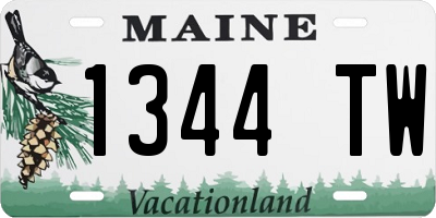 ME license plate 1344TW