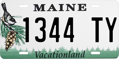 ME license plate 1344TY
