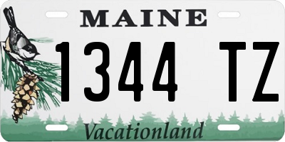 ME license plate 1344TZ
