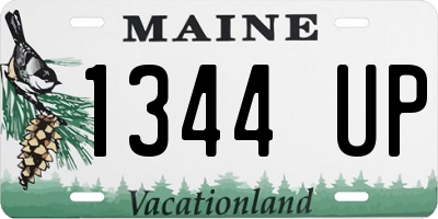 ME license plate 1344UP