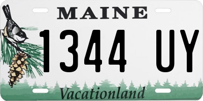 ME license plate 1344UY