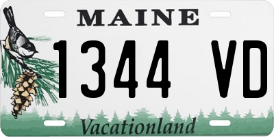 ME license plate 1344VD