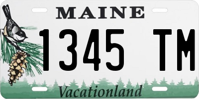 ME license plate 1345TM