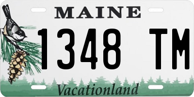 ME license plate 1348TM